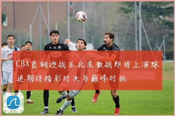 CBA首钢迎战东北虎激战即将上演球迷期待精彩对决与巅峰对抗