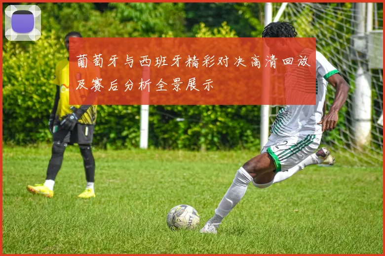 葡萄牙与西班牙精彩对决高清回放及赛后分析全景展示