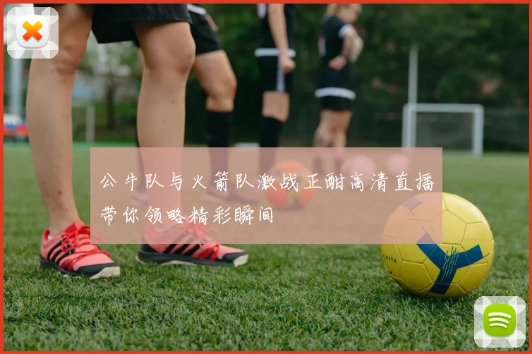 公牛队与火箭队激战正酣高清直播带你领略精彩瞬间