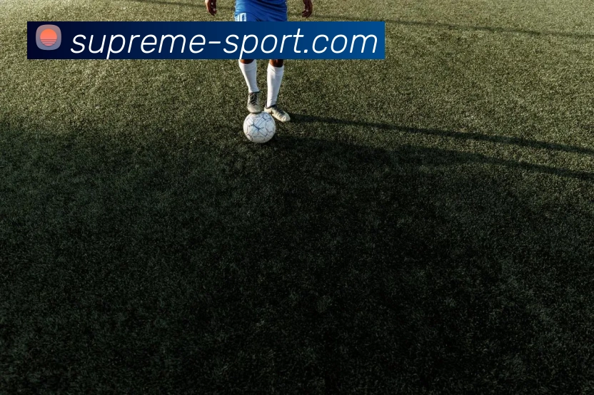 YABO鸭脖平台生态图